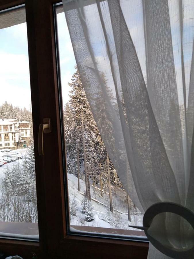 Пампорово Студио Милка В Хотел Росица Exterior foto